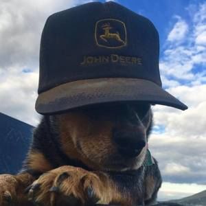 Meet your Posher, Darrin